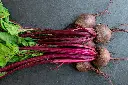 unsplash_lFxgx7Snyfw_beetroot pla.webp