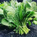 unsplash_4jpNPu7IW8k_spinach.webp