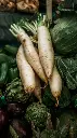 pexels-marco-carmona-79381080-8827285.webp