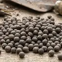 Okra seeds