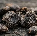 Bitter gourd seeds